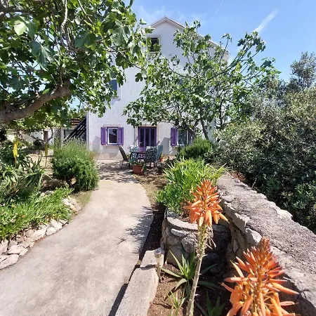 Casa Di Castello Apartment Mali Losinj Exterior photo