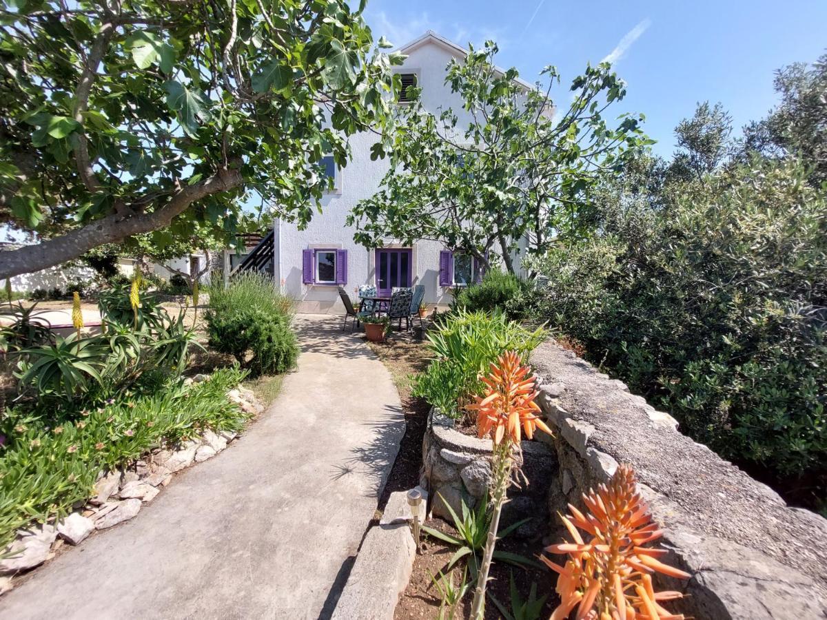 Casa Di Castello Apartment